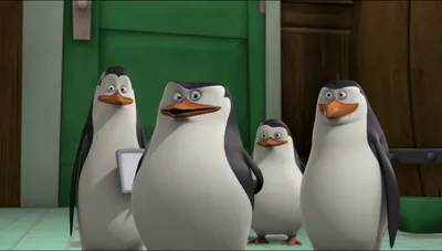 Фильм «Пингвины Мадагаскара» / The Penguins of Madagascar (2014) —  трейлеры, дата выхода | КГ-Портал