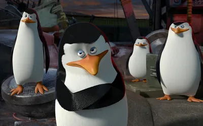 The Penguins of Madagascar | 2014 | Мультфильмы, Рисунки, Пингвины