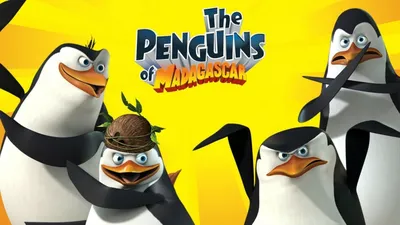 Рико Пингвин Toy Character Form Пингвинов Мадагаскара Анимации — стоковые  фотографии и другие картинки 2015 - iStock