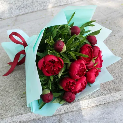 Букет красных пионов от 9 шт. за 12 090 руб. | Бесплатная доставка цветов  по Москве
