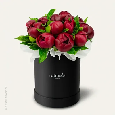 Купить Пионы красные искусственные для декора по выгодной цене в  интернет-магазине OZON.ru (1080258009)
