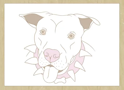 Is This the Most Unique Dog Breed Ever? Dalmatian Pitbull Mix 101 - Taglec
