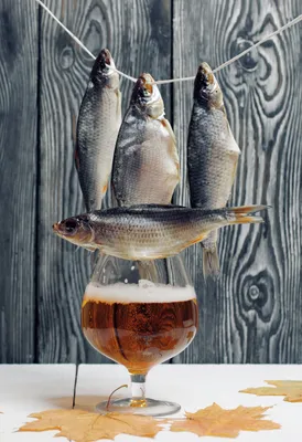 Пиво и вяленая рыба на веревке | Beer illustration, Beer pictures, Art