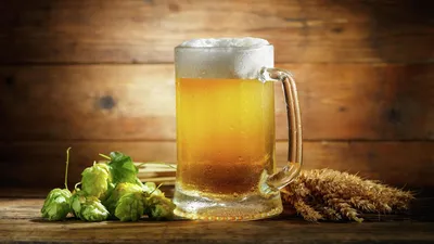 Пиво в домашних условиях: как варить по простым рецептам вкусный напиток