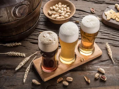 Градус пива: что это значит и как его определить?