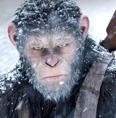 Планета обезьян 4» обрадовала фанатов новыми известиями | Gamebomb.ru