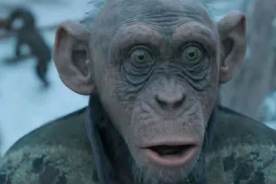 Видео: завершены съемки фильма \"Планета обезьян: Королевство\" - Российская  газета
