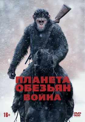 Планета обезьян. Война (DVD, фильм) - купить с доставкой по выгодным ценам  в интернет-магазине OZON (160526742)