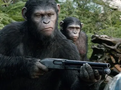 Новые кадры фильма \"Планета обезьян: Революция\"