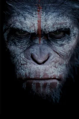 Планета обезьян (Коллекция) - Posters — The Movie Database (TMDB)