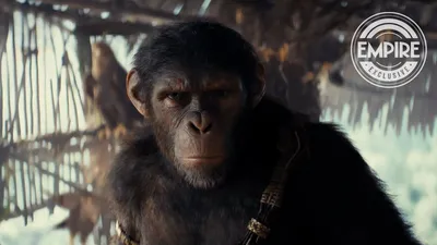 Появились новые кадры из фильма \"Планета обезьян: Новое царство\"