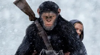Раскрыты подробности о сюжете и героях фильма «Планета обезьян: Королевство»