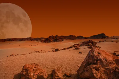 Марс — будущее человечества? 28 ноября – День Красной планеты – МРГ-Онлайн