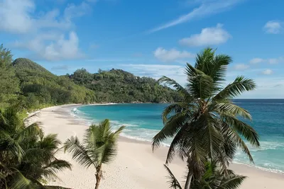Топ-10 лучших пляжей мира и США: в списке есть места для любителей разной  погоды - ForumDaily