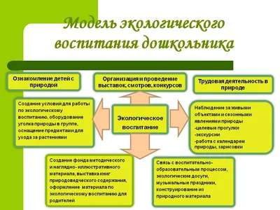 10 книг об экологии, которые стоит прочитать с ребенком - Workingmama