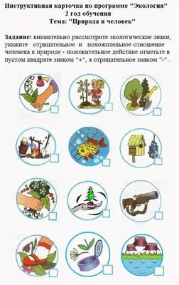 Роль Музея Леса и экологии в воспитании экологической культуры дошкольников».  | Аврора | Дзен