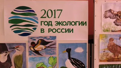 Липецкие школьники могут бесплатно повысить свои знания по экологии в  ведущем вузе страны | Общественно-политическая газета Долгоруковского района