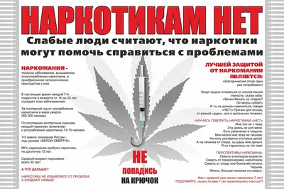 РУДН запустил проект, который поможет вузам в профилактике наркомании - РИА  Новости, 16.09.2020