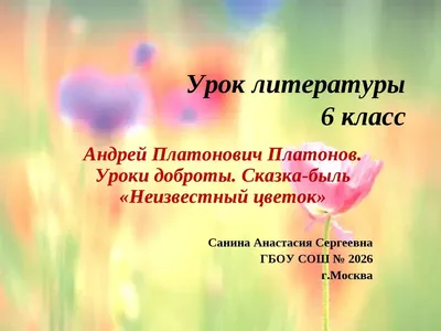 Иллюстрация 21 из 31 для Неизвестный цветок - Андрей Платонов | Лабиринт -  книги. Источник: Наумова Татьяна