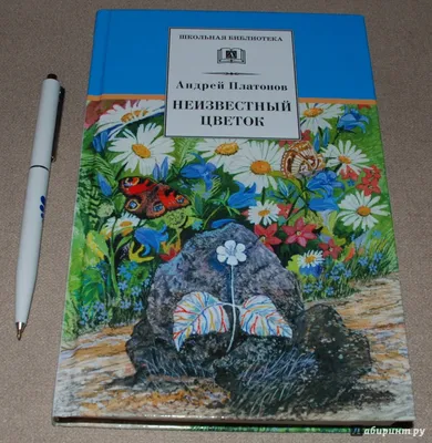 Иллюстрация 6 из 31 для Неизвестный цветок - Андрей Платонов | Лабиринт -  книги. Источник: Книжный кот
