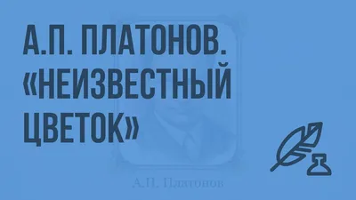 Иллюстрация 1 из 14 для Неизвестный цветок - Андрей Платонов | Лабиринт -  книги. Источник: Лабиринт