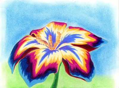 Иллюстрация к произведению неизвестный цветок - 81 фото