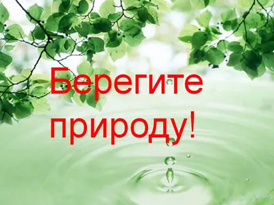 Конспект экологического конкурса \"Береги природу\" - Методическая копилка