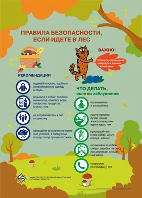 Экологический проект «Береги природу!» — Детский сад №38