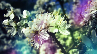 Рисунок на тему Весна легкий - 97 фото