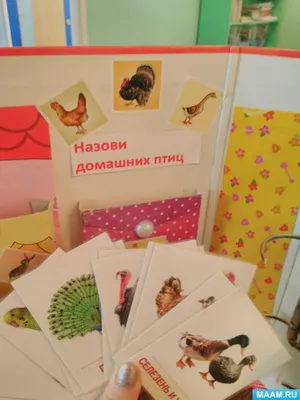 Постеры и картины \"Животные\" купить в Санкт-Петербурге, плакаты темы \" Животные\" на заказ с быстрой доставкой по всей России | «28КАРТИН»