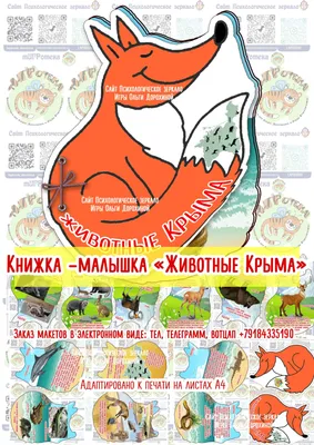 Фото постеры на стену по теме «Животные» | Купить плакаты |  Интернет-магазин постеров «Антураж»