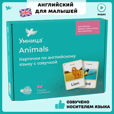 Бесплатные стоковые фото на тему животные, зима, маленький, мех, милый,  млекопитающие, молодой, морозный, на открытом воздухе, сибирский хаски,  смотреть, снег, собаки, фотографии животных, хаски, чистокровный, щенки
