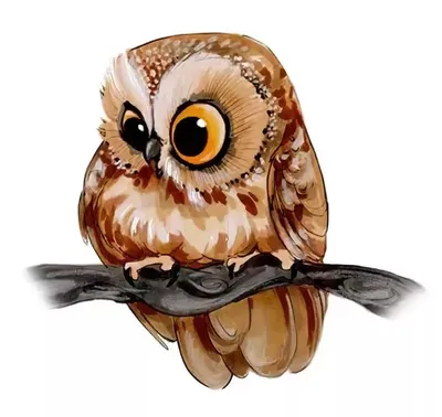 Картинок по вашему запросу не найдено — Яндекс.Картинки | Owls drawing,  Animal drawings, Bird art