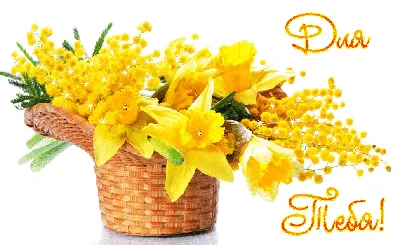 Картинки по запросу мимозы 8 марта гиф | Easter flowers, Yellow spring  flowers, Flowers