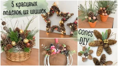 5 красивых поделок из шишек | идеи декора из шишек | cones crafts | cones  DIY - YouTube