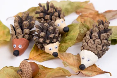 Осенние поделки 🍁🍂 Букет из шишек 💐 Используются сосновые шишки и ветки  и джутовая верёвка. Шишки покрасила гуашью Размер картины… | Instagram