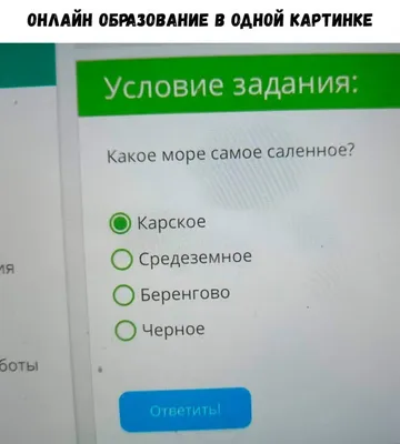 Прикольные картинки, поднимающие настроение