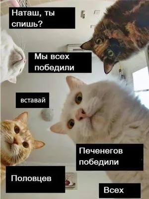 Эксмо Котики. Раскраски, поднимающие настроение