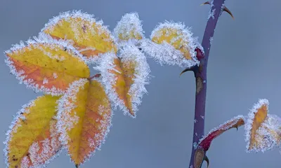 Морозы до 23 градусов: какой будет погода в Казахстане на выходных