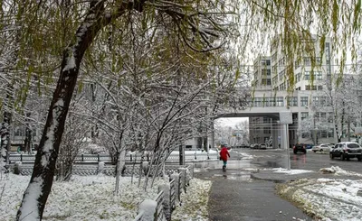 Какой будет зима в Украине 2023-2024: прогнозы экспертов