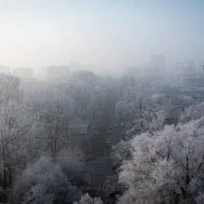 Казахстан ждет неустойчивая погода в январе - Аналитический интернет-журнал  Власть