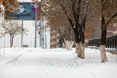 Какая погода ожидается в Узбекистане в декабре – Новости Узбекистана –  Газета.uz