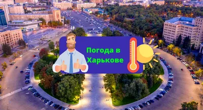 Волна тепла: как долго продержится хорошая погода в Москве