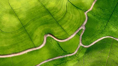 Всероссийский день поля — 2021» представит передовые достижения  агропромышленного комплекса страны – Агроинвестор