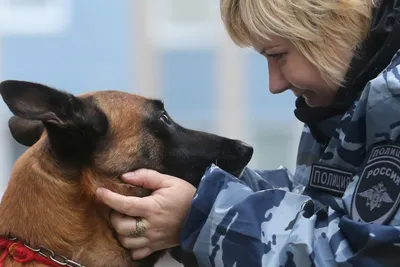 Полицейские со служебными собаками проводят рейды в школах Курземе. Ищут  «вейпы» / Статья
