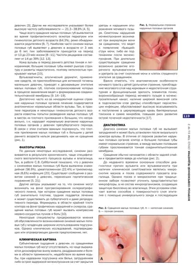 Лабиопластика (пластика половых губ) в Москве: цены, запись на прием в  Major Clinic