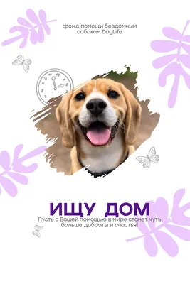 Симпатичный постер для фонда помощи бездомным животным с бело-фиолетовым  оформлением и фото | Flyvi