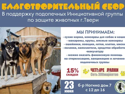 Помощь бездомным животным в Москве - Агентство городских новостей «Москва»  - информационное агентство