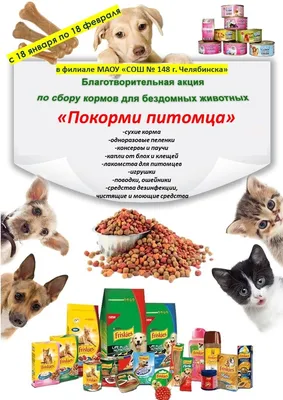 Фонд помощи бездомным животным «Верность» | Saratov