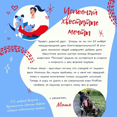 Благотворительная акция в помощь бездомным животным “Покорми питомца” –  Многопрофильный лицей № 148 города Челябинска